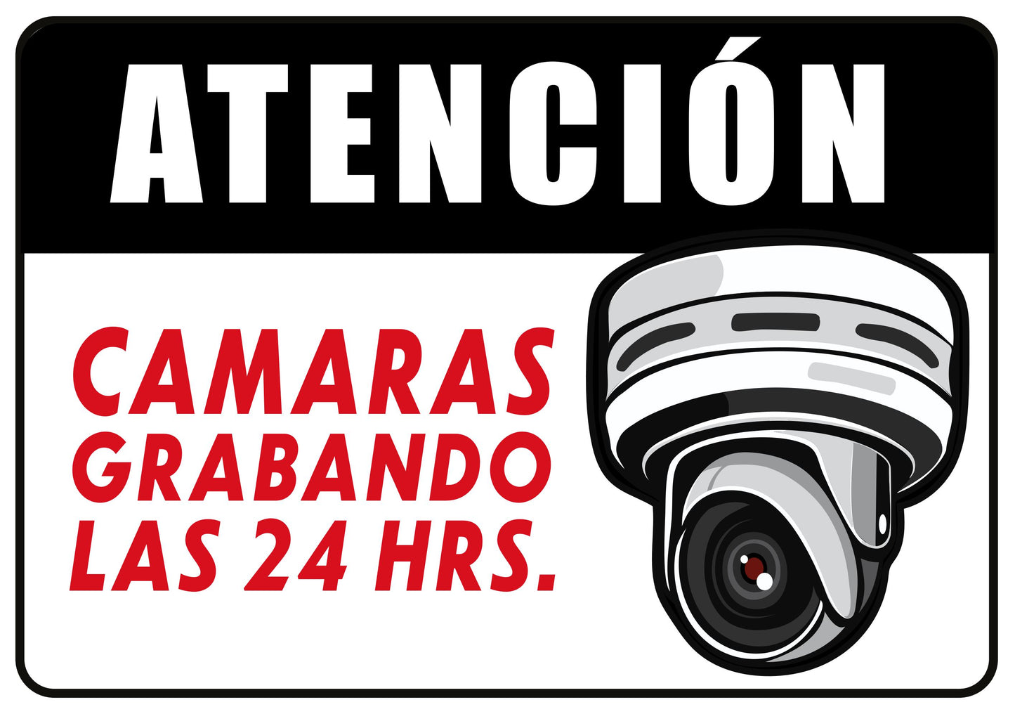 Cámaras de Seguridad