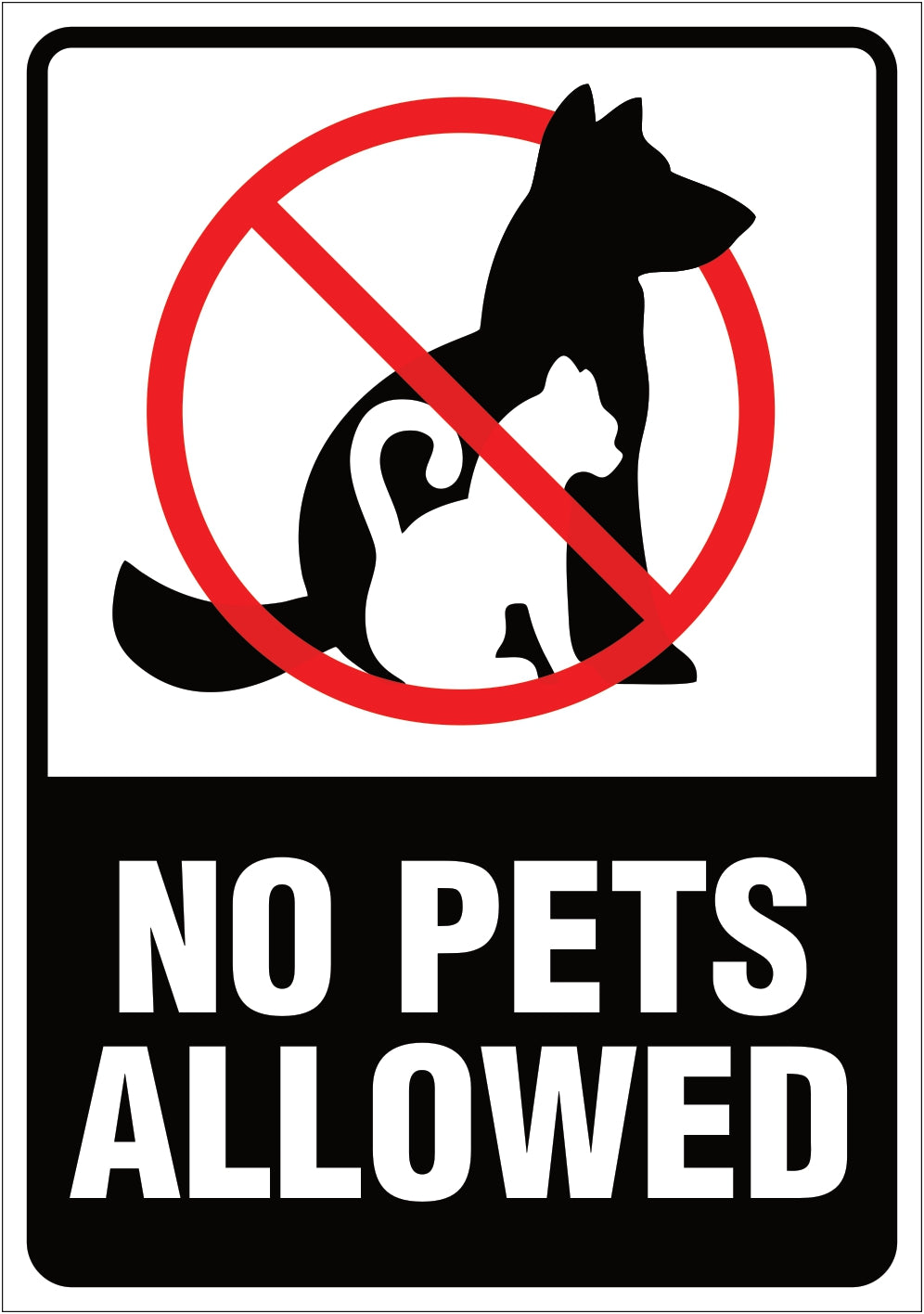 No mascotas / No pets allowed